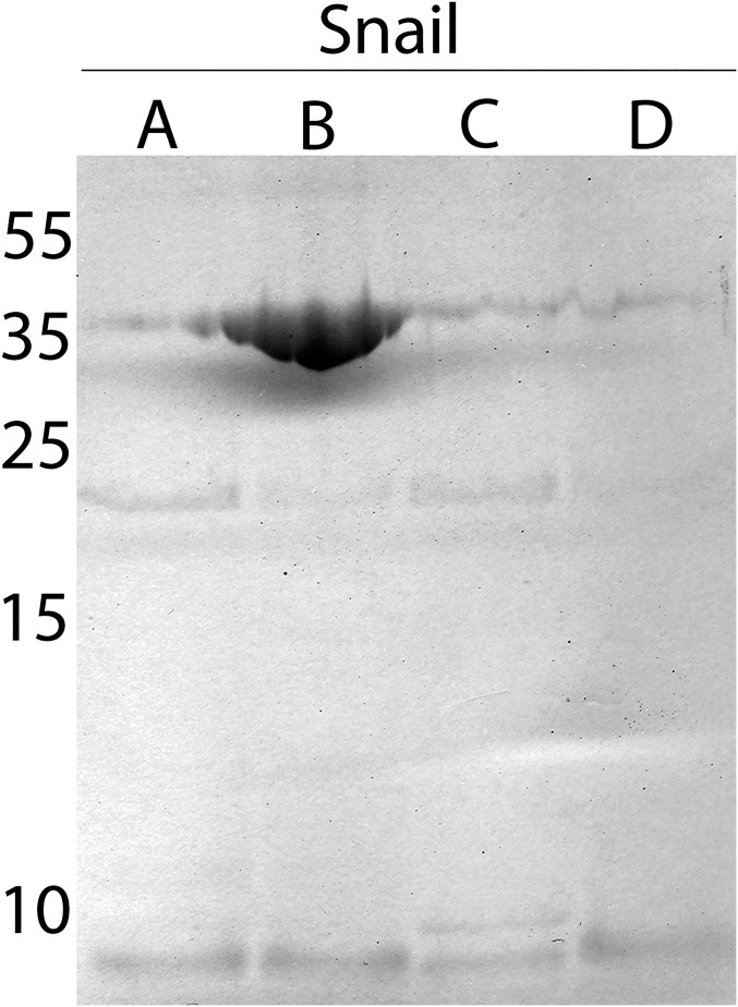 Fig. S3.