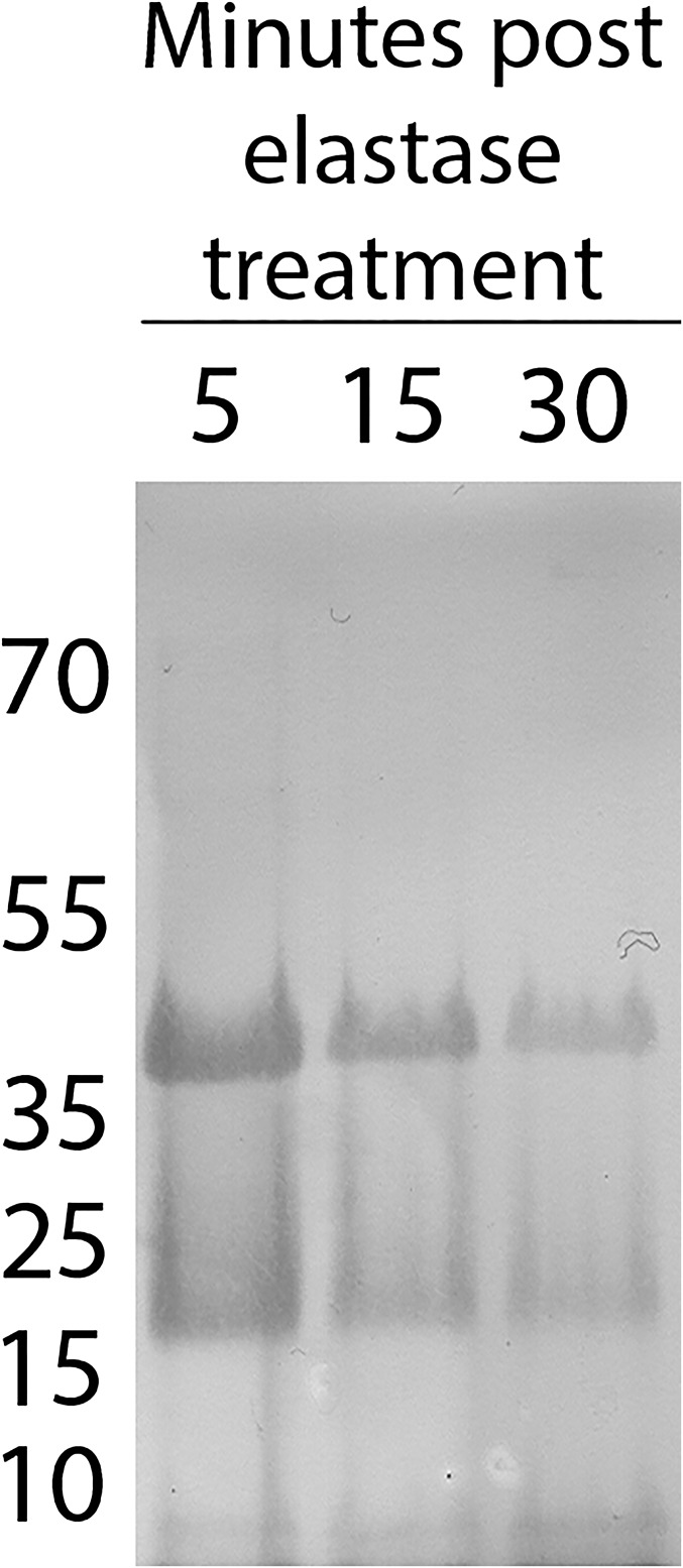 Fig. S2.