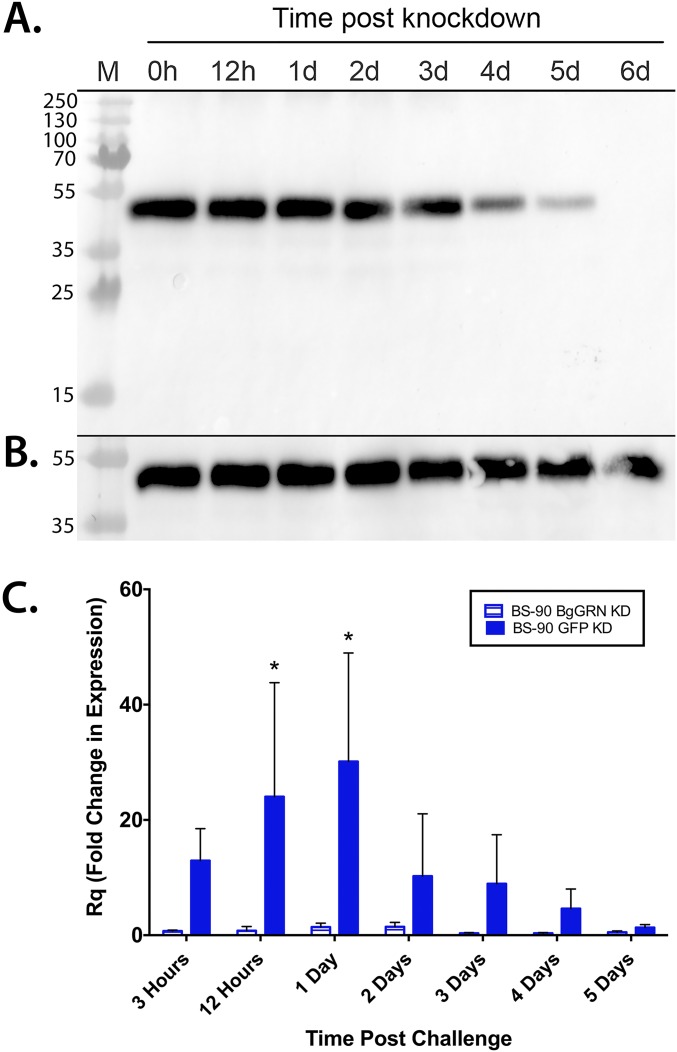 Fig. S4.