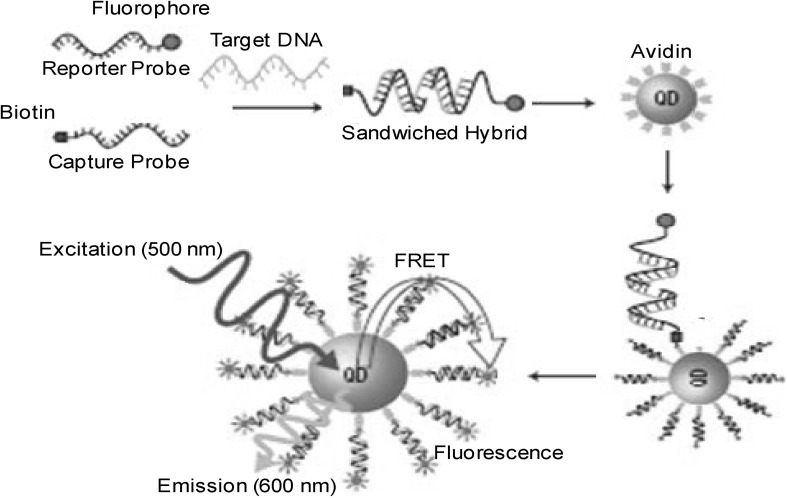 Fig. 4