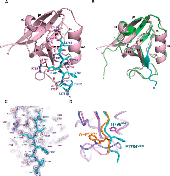 Figure 2.