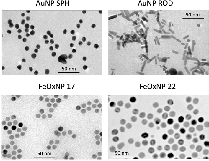 Figure 1