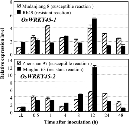 Figure 4.