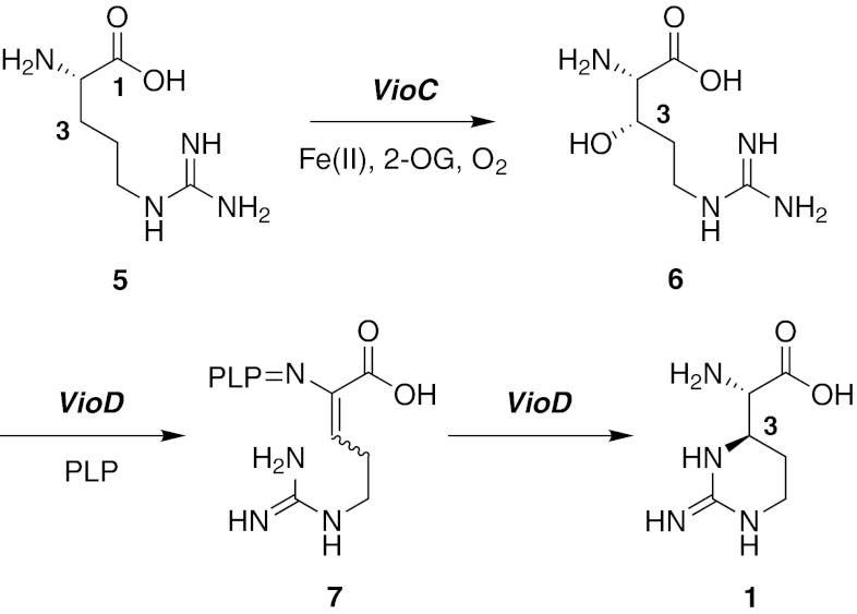 Fig. 2