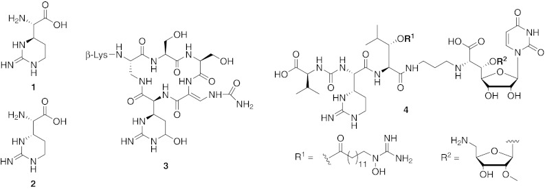 Fig. 1