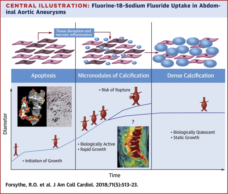 Central Illustration