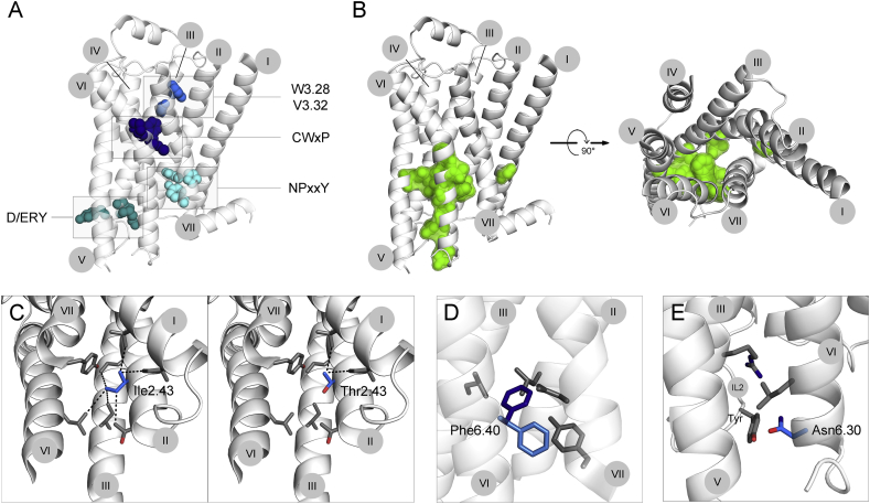 Figure 2