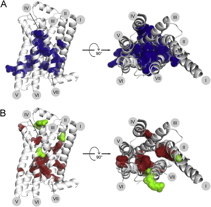 Figure 5