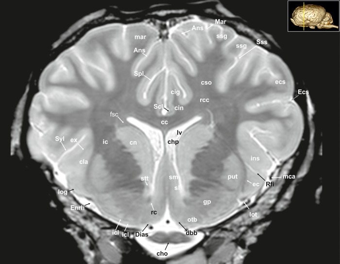 Fig 5