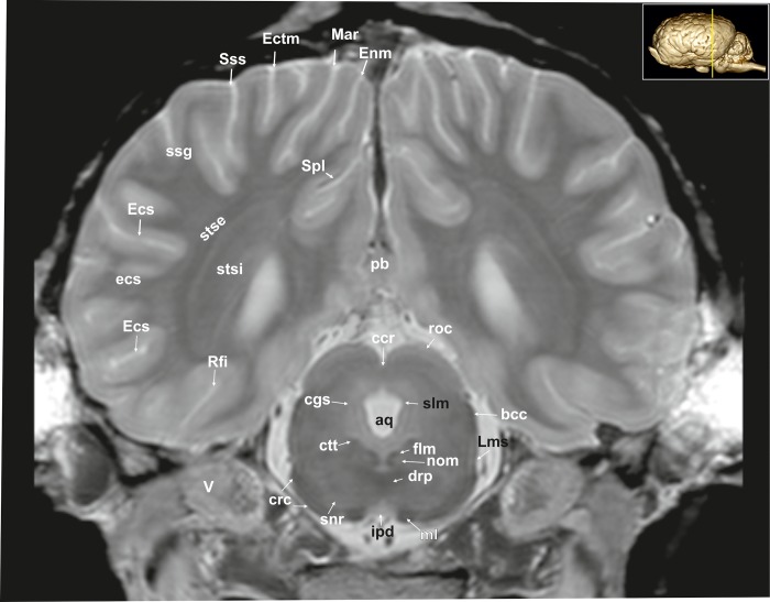 Fig 10