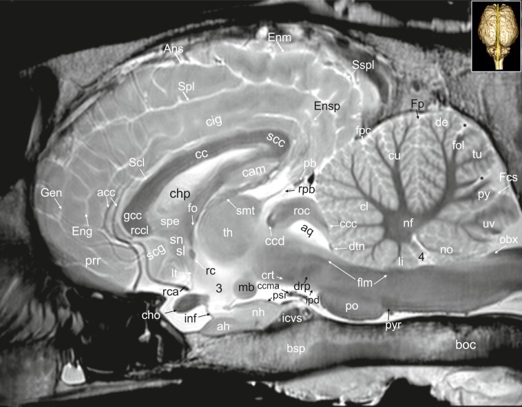 Fig 26