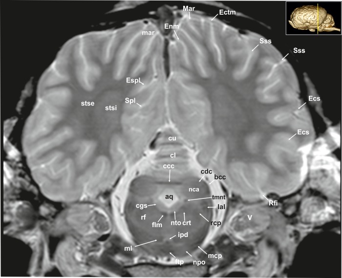 Fig 11