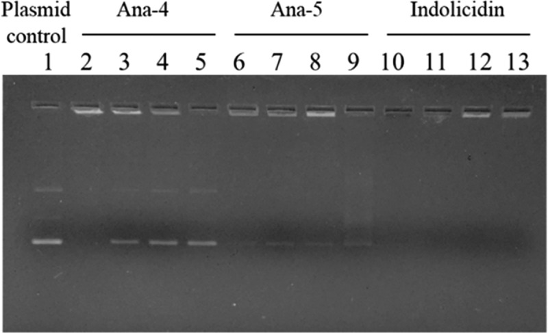 Figure 10