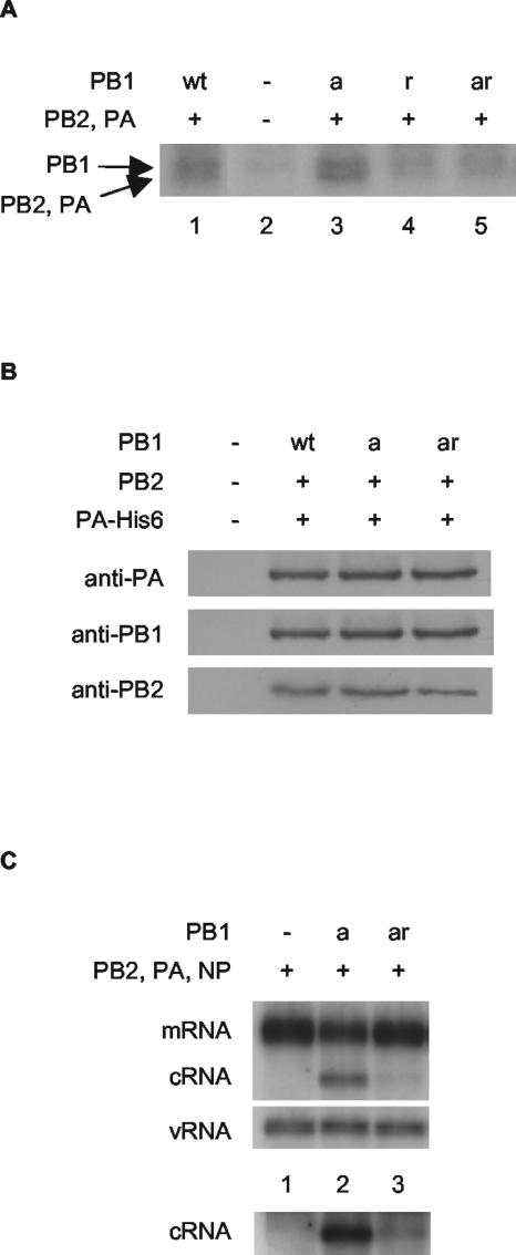 FIG. 4.