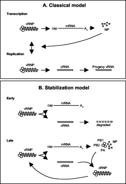 FIG. 5.