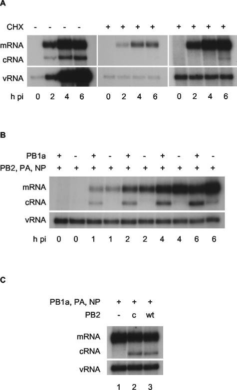 FIG. 1.