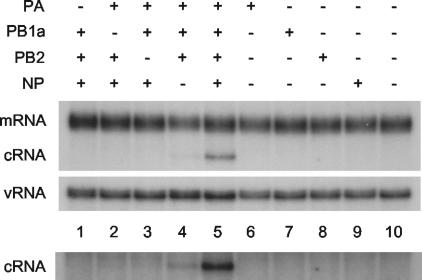 FIG. 3.