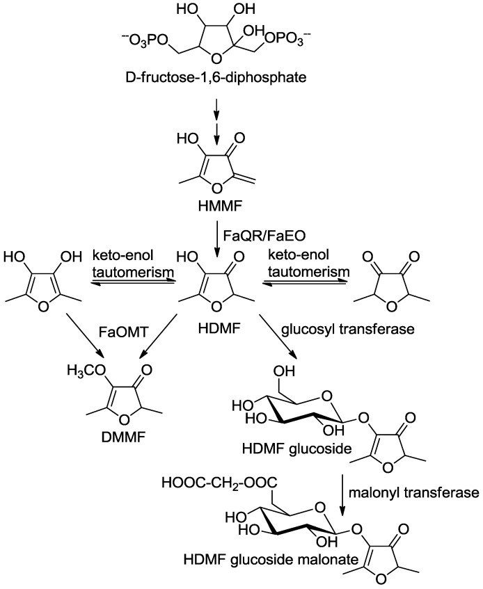 Scheme 3