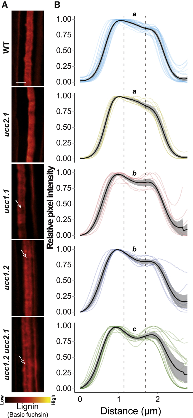 Figure 4