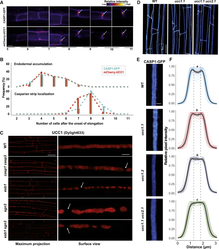 Figure 3