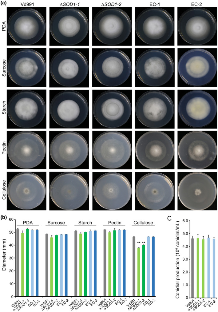 FIGURE 2