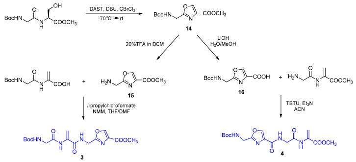 Scheme 6