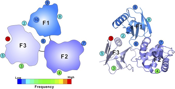 Fig. S5.