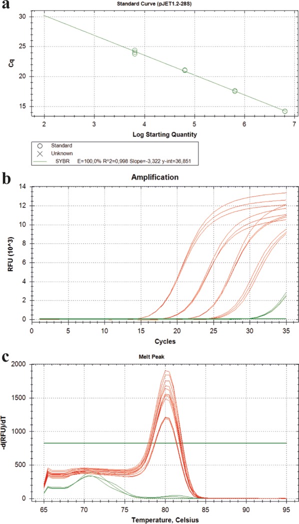 Fig. 2