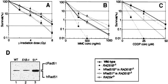 FIG. 6