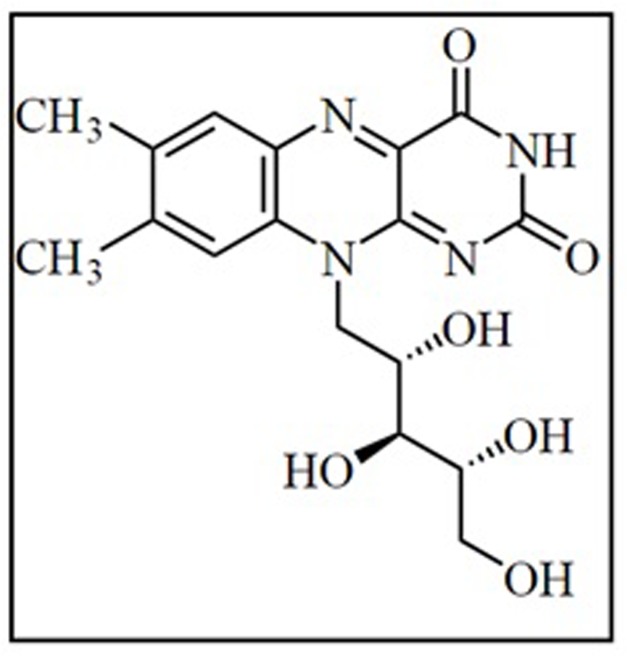 FIGURE 3