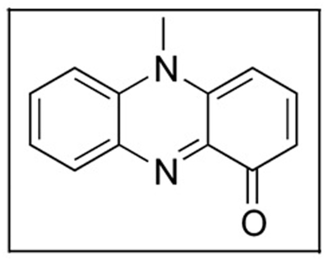 FIGURE 4