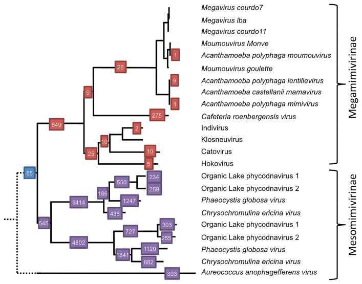 Fig. 6