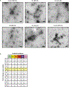 Figure 7 |