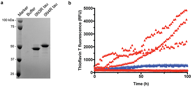 Figure 5 |