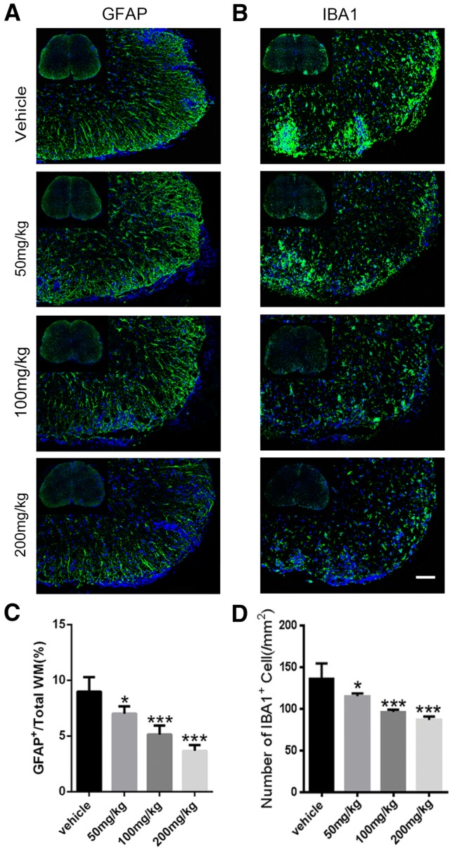 Fig. 6