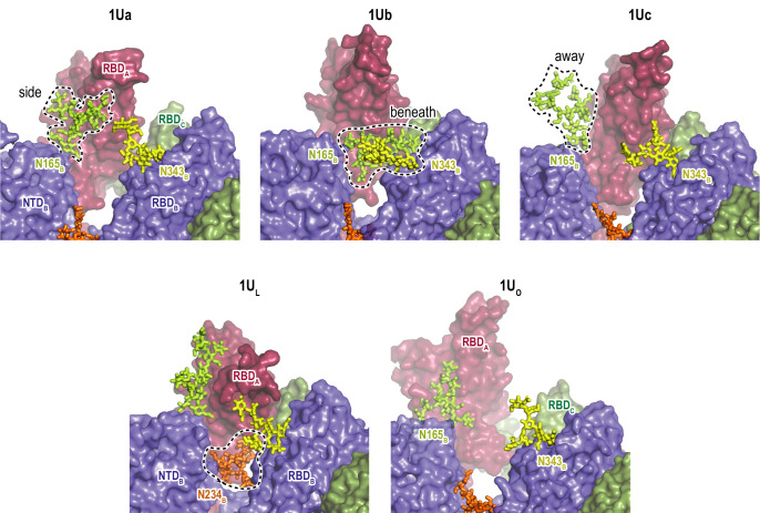 Figure 4—figure supplement 10.