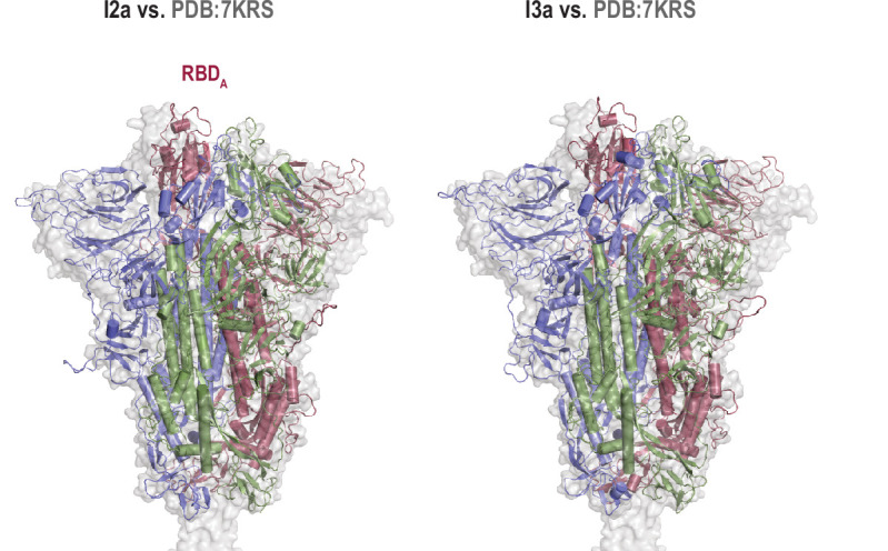 Figure 4—figure supplement 12.