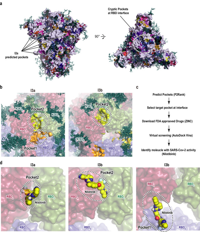 Figure 6—figure supplement 1.