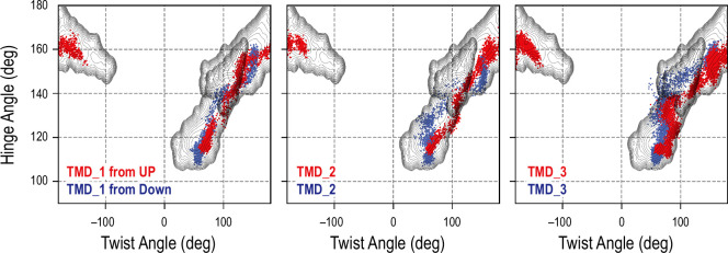 Figure 4—figure supplement 6.