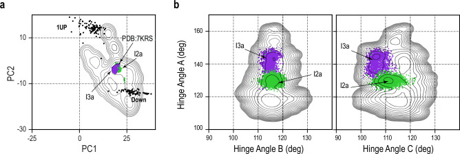 Figure 4—figure supplement 11.