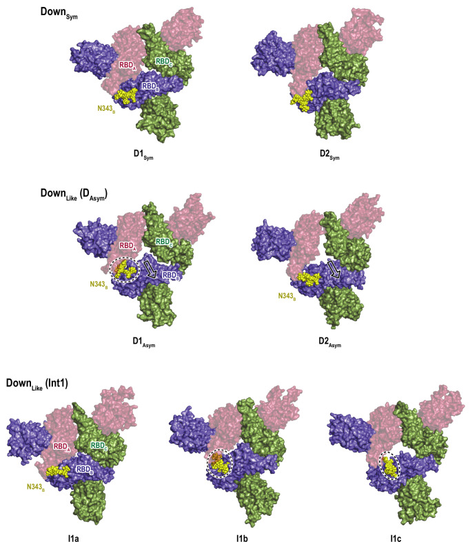 Figure 4—figure supplement 9.