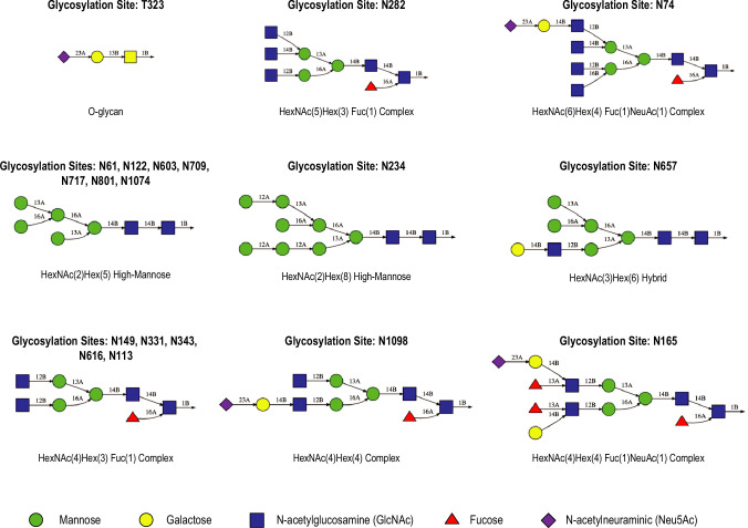 Figure 1—figure supplement 2.