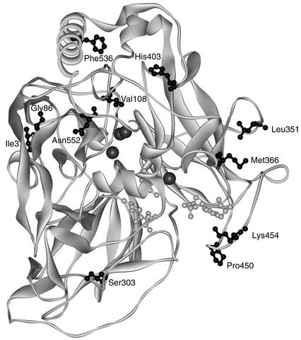 FIG. 6.