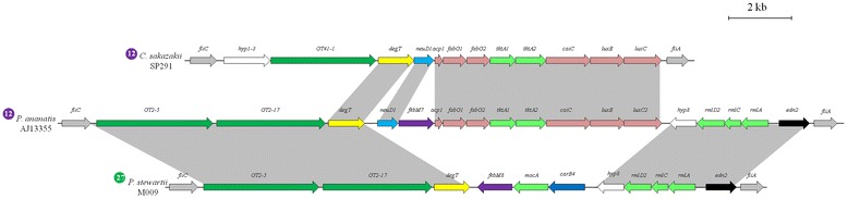 Fig. 4