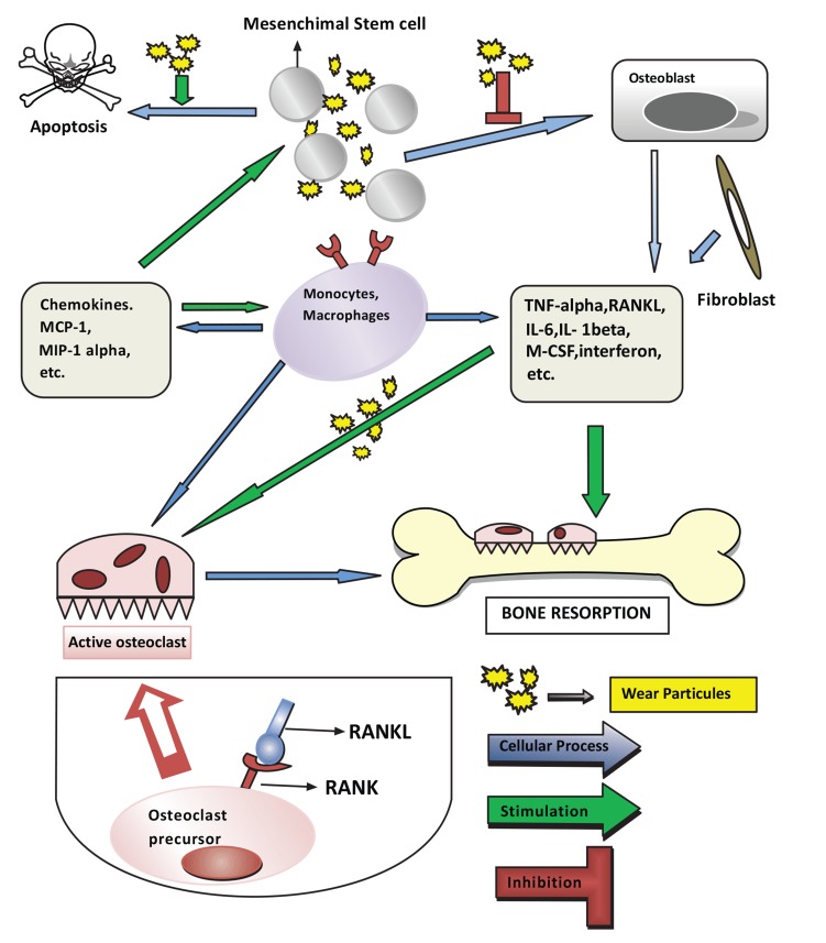 Fig. (1)