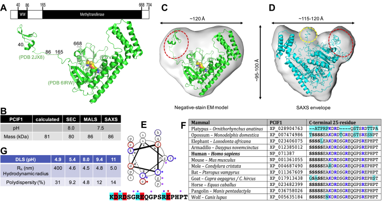 Figure 2