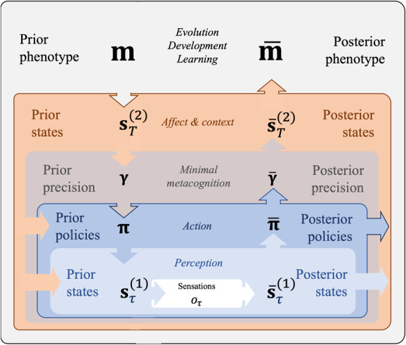 Figure 10: