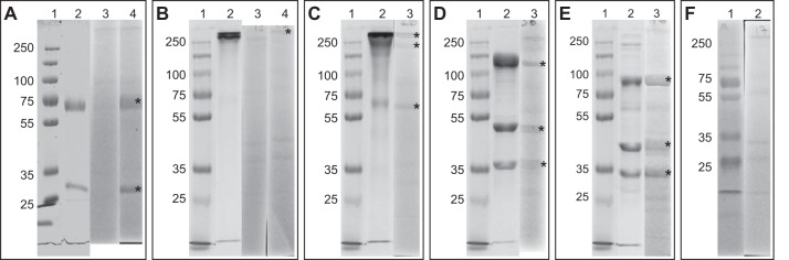 FIG 3