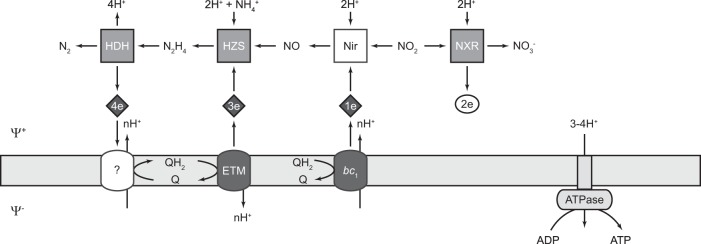 FIG 1