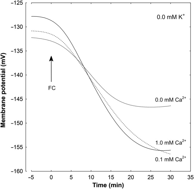 Figure 7.